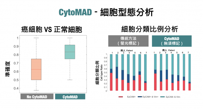 Cancer cell analysis of lung cancer patients using Generative AI model, CytoMAD, developed by the HKU team.